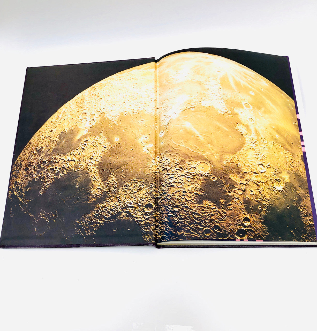 Tally Stick, University of Calgary, Year Book, Yearbook, Hardcover, Calgary, Alberta, 1968