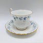 Royal Albert, Memory Lane, Cup and Saucer, Tea cup, Tea Cup, Vintage, England, Bone China, Steampunk